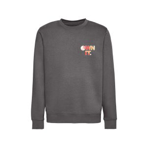 Grey Sweatshirt – OWN IT