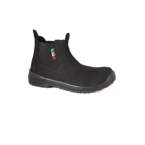 POLACCHINO L3 S3 - LEWER